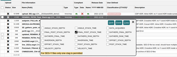 Screenshot of popup with advice that SEGY files may have only one CTAG